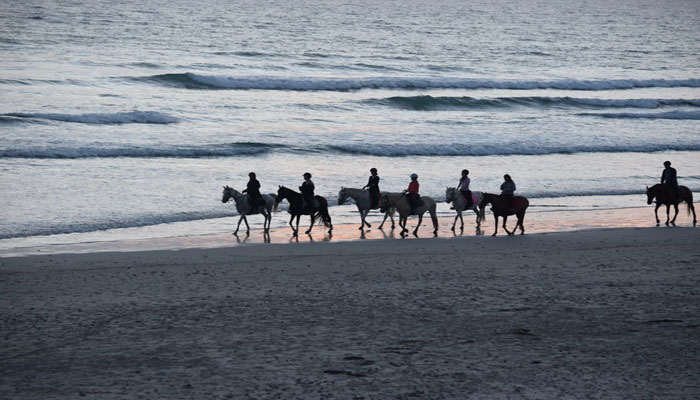 Horse riding in Roda