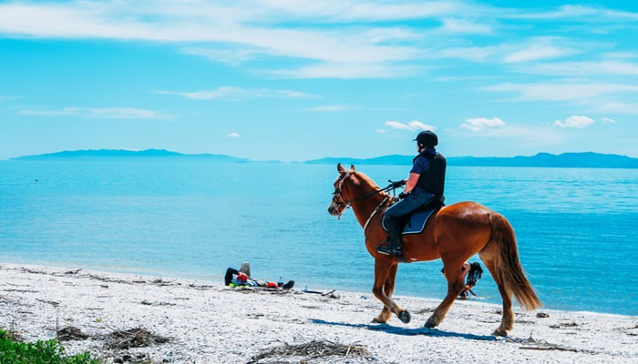 Horse Riding in Corfu